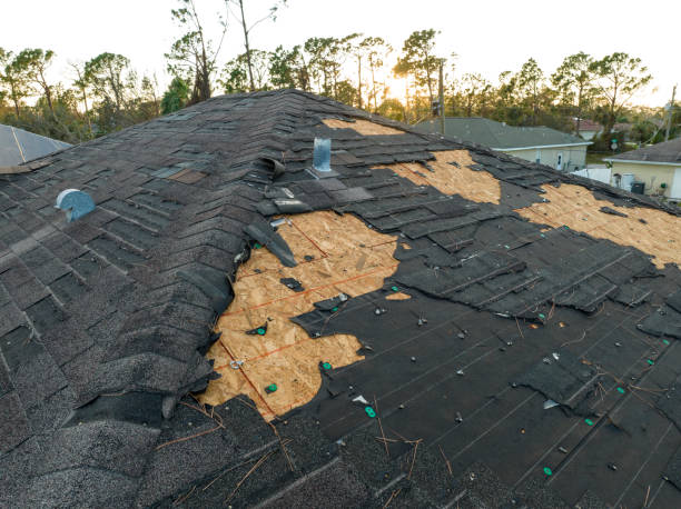 Best Asphalt Shingles Roofing  in Camp Barrett, VA
